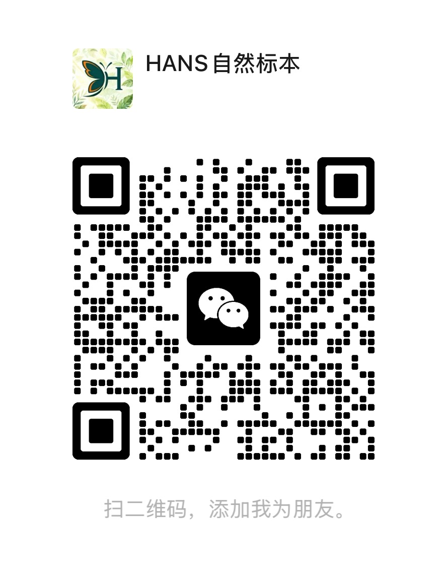 客服微信二维码